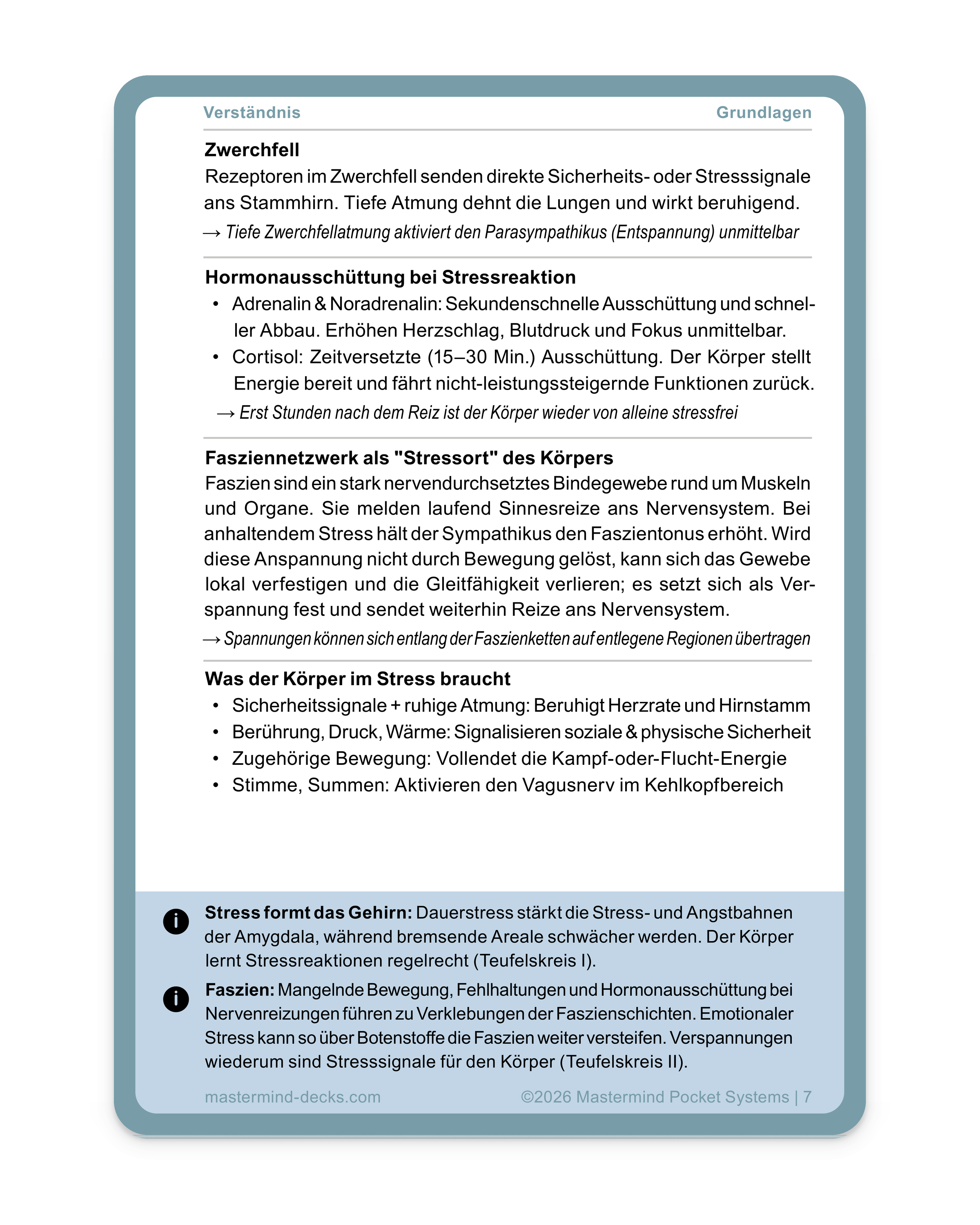 Stressentstehung: Adrenalin & Noradrenalin, Cortisol, Sicherheitssignale + ruhige Atmung. Rückseite mit Mikrohacks aus dem Bereich Verständnis der Stressreaktion.